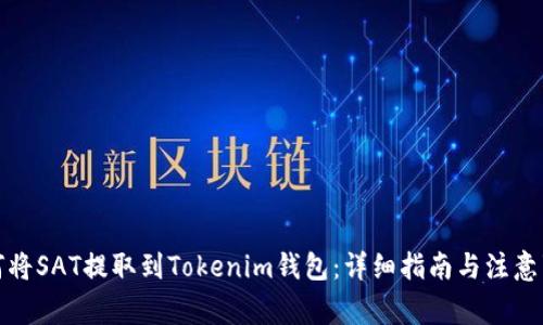 如何将SAT提取到Tokenim钱包：详细指南与注意事项