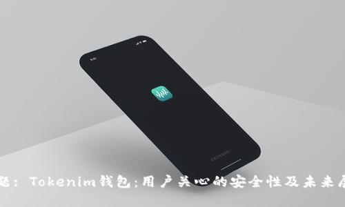 标题: Tokenim钱包：用户关心的安全性及未来展望