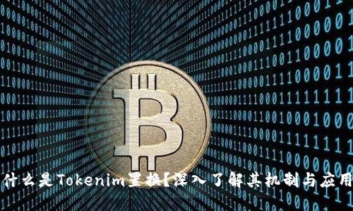 什么是Tokenim置换？深入了解其机制与应用