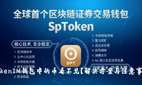 TokenIM钱包中的币看不见？解决方案与注意事项