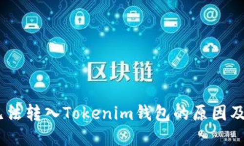 CTXC币无法转入Tokenim钱包的原因及解决方法