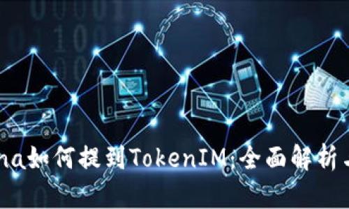 ### Luna如何提到TokenIM：全面解析与使用指南