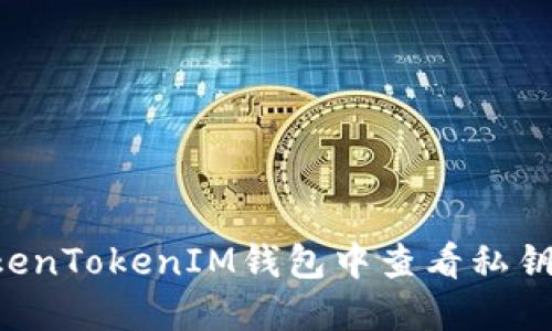 如何在TokenTokenIM钱包中查看私钥：完整指南