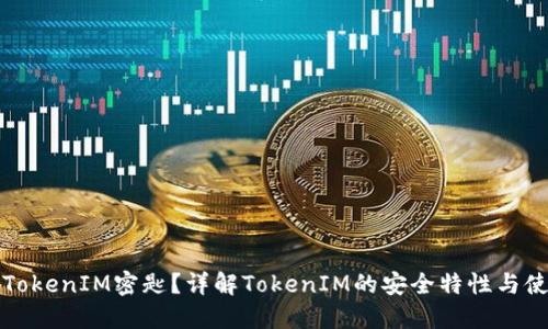 什么是TokenIM密匙？详解TokenIM的安全特性与使用方法