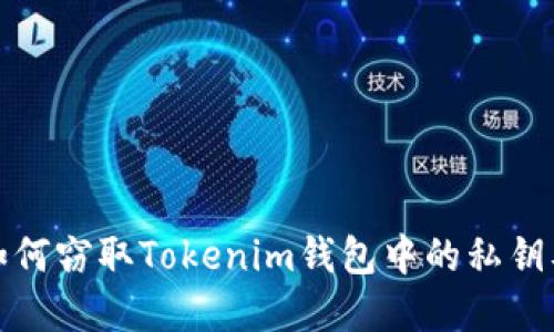 恶意程序如何窃取Tokenim钱包中的私钥及防范策略