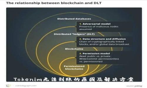 Tokenim无法到账的原因及解决方案