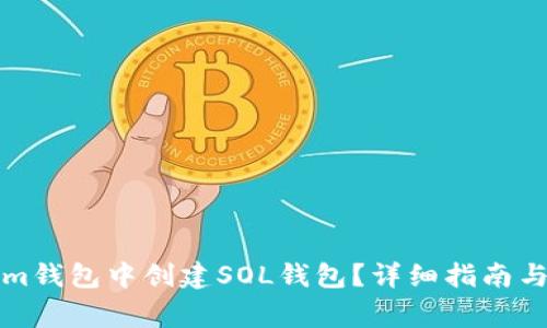 如何在Tokenim钱包中创建SOL钱包？详细指南与常见问题解答