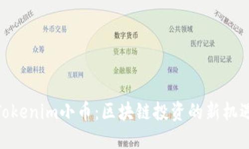 Tokenim小币：区块链投资的新机遇