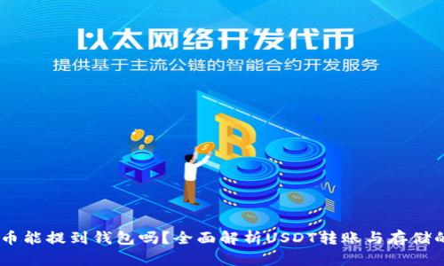 USDT币能提到钱包吗？全面解析USDT转账与存储的问题