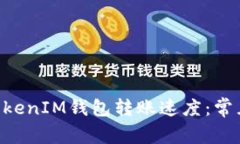 如何提高TokenTokenIM钱包转账速度：常见问题与解