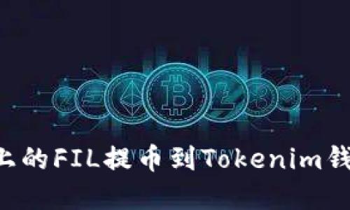 如何将火币上的FIL提币到Tokenim钱包：完整指南