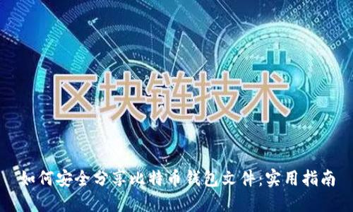 如何安全分享比特币钱包文件：实用指南