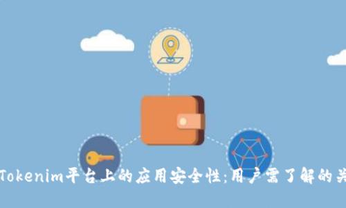 探讨Tokenim平台上的应用安全性：用户需了解的关键点