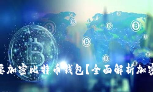 : 为什么要加密比特币钱包？全面解析加密的重要性