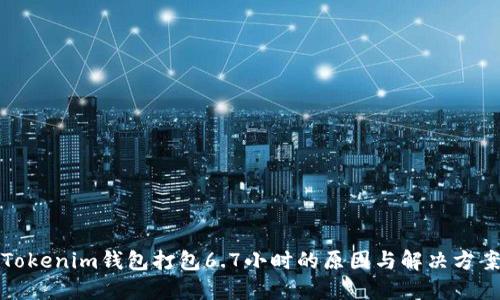 Tokenim钱包打包6.7小时的原因与解决方案