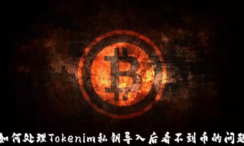 
如何处理Tokenim私钥导入后看不到币的问题