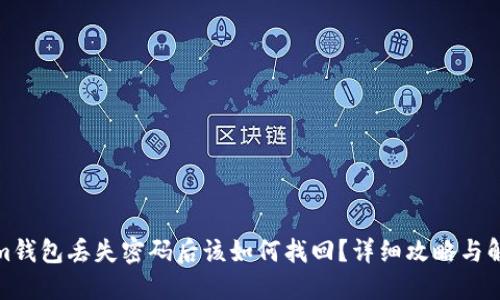 Tokenim钱包丢失密码后该如何找回？详细攻略与解决方案