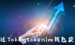   如何通过Tokentokenim钱包获