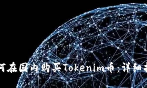 如何在国内购买Tokenim币：详细指南