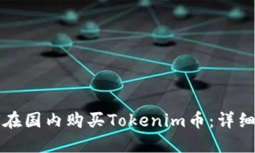 如何在国内购买Tokenim币：详细指南