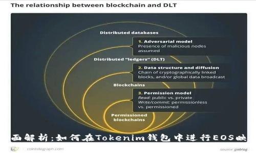 全面解析：如何在Tokenim钱包中进行EOS映射