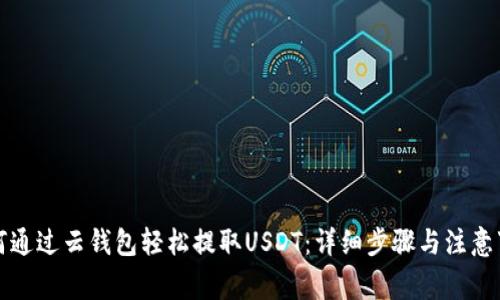 如何通过云钱包轻松提取USDT：详细步骤与注意事项