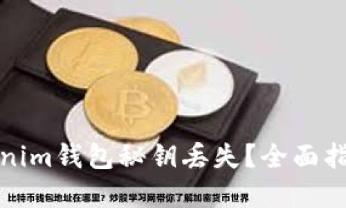 如何应对Tokenim钱包秘钥丢失？全面指南和解决方案