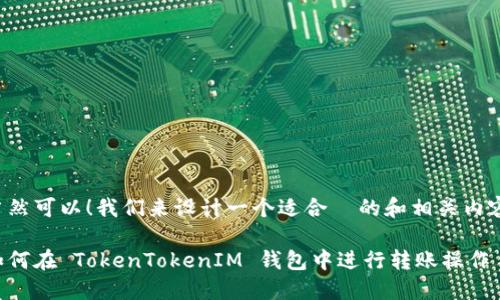 当然可以！我们来设计一个适合  的和相关内容。

如何在 TokenTokenIM 钱包中进行转账操作