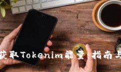 如何获取Tokenim能量：指南