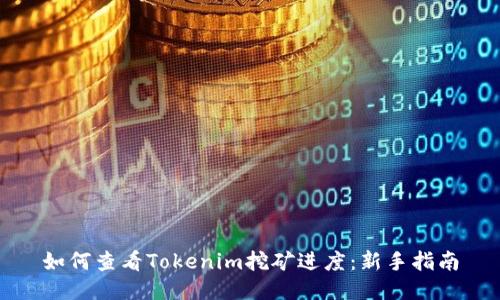 如何查看Tokenim挖矿进度：新手指南