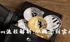 FLI币的Tokenim流程解析：从