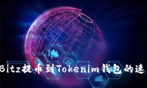 如何加速从Bitz提币到Tokenim钱包的速度：详细指南