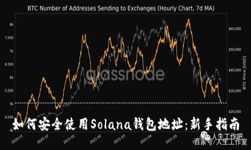 如何安全使用Solana钱包地址：新手指南