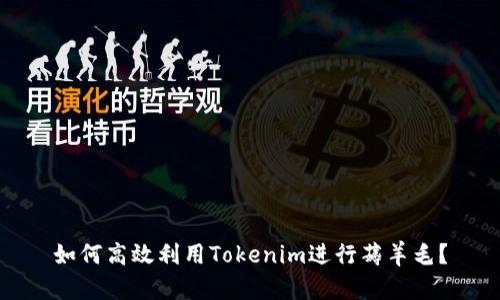 如何高效利用Tokenim进行薅羊毛？