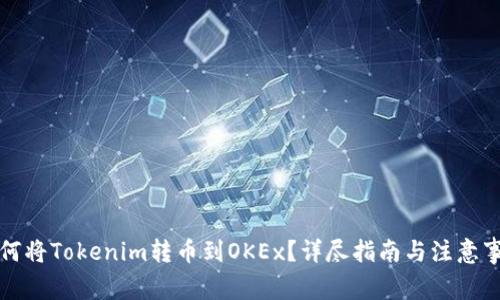 如何将Tokenim转币到OKEx？详尽指南与注意事项