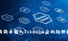 : 狗狗币转入Tokenim后的处