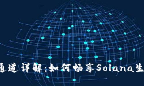 小狐狸钱包SOL通道详解：如何畅享Solana生态的便利与优势