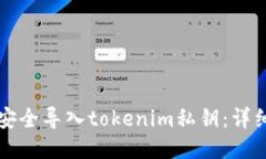 如何安全导入tokenim私钥：