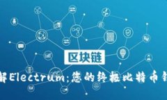 深入了解Electrum：您的终极