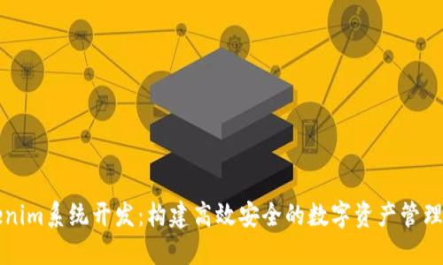 Tokenim系统开发：构建高效安全的数字资产管理平台