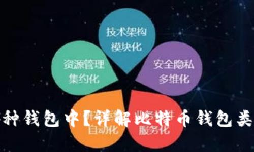 优质
比特币存在哪种钱包中？详解比特币钱包类型与选择策略