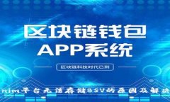 Tokenim平台无法存储BSV的原因及解决方案