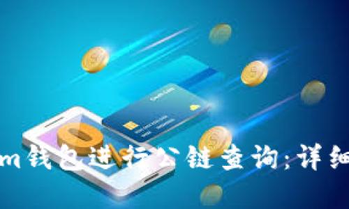 如何使用Tokenim钱包进行公链查询：详细指南与实用技巧