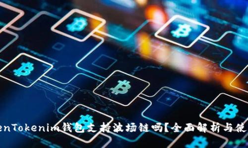 : TokenTokenim钱包支持波场链吗？全面解析与使用指南