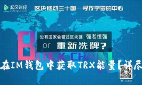 如何在IM钱包中获取TRX能量？详尽指南