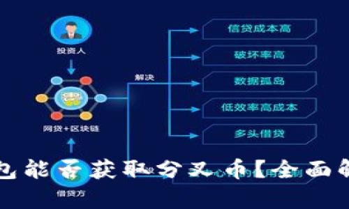 比特币钱包能否获取分叉币？全面解析与指南