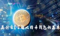 比特币钱包是什么？了解比特币钱包的基本知识