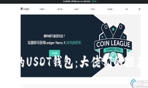 如何选择合适的USDT钱包：大佬们的推荐与实用技巧