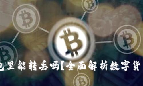 USDT在钱包里能转丢吗？全面解析数字货币的安全性