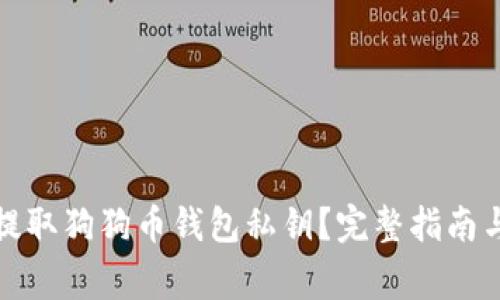 如何安全提取狗狗币钱包私钥？完整指南与注意事项